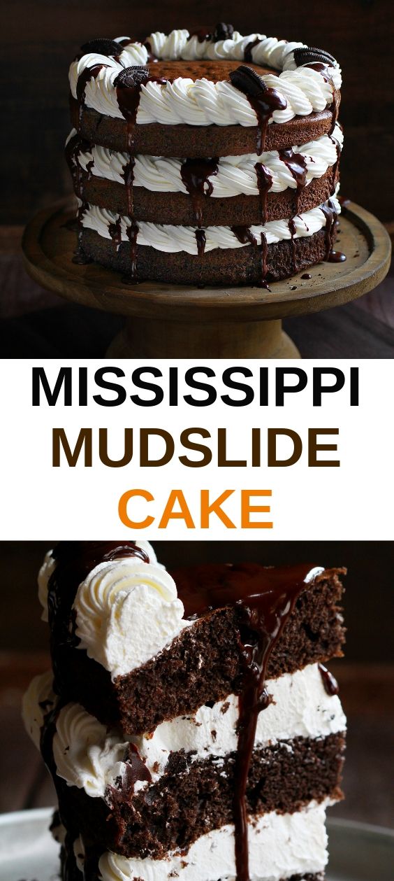 Mississippi Mudslide Cake - newsronian