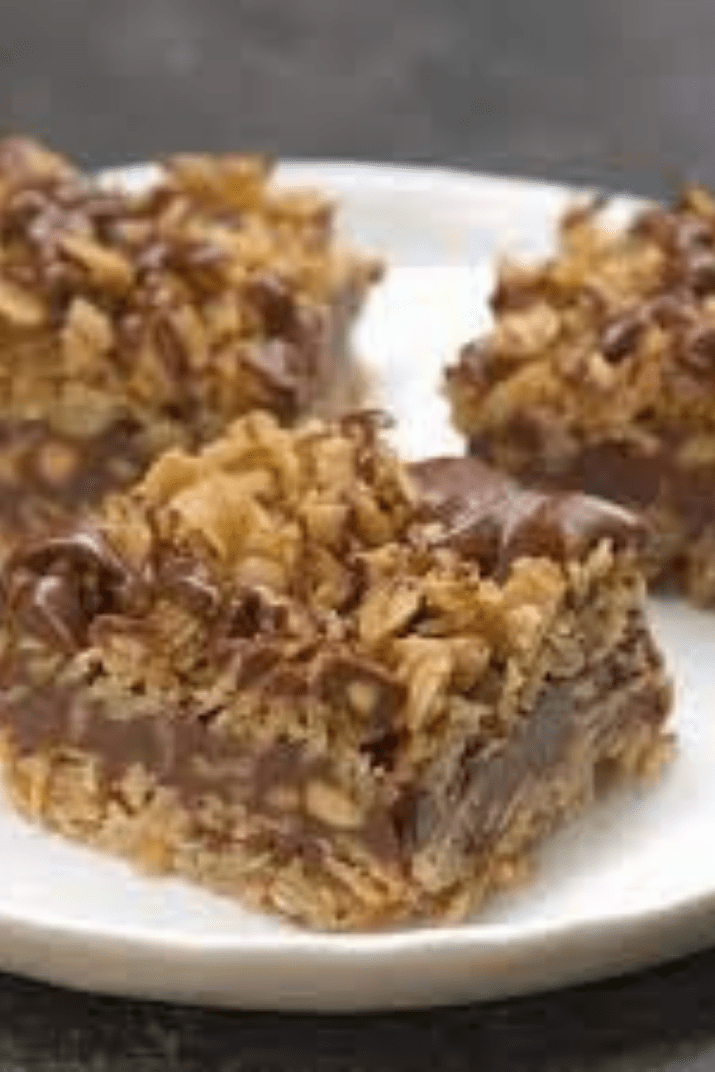No Bake Chocolate Oatmeal Bars - Yummy Recipes