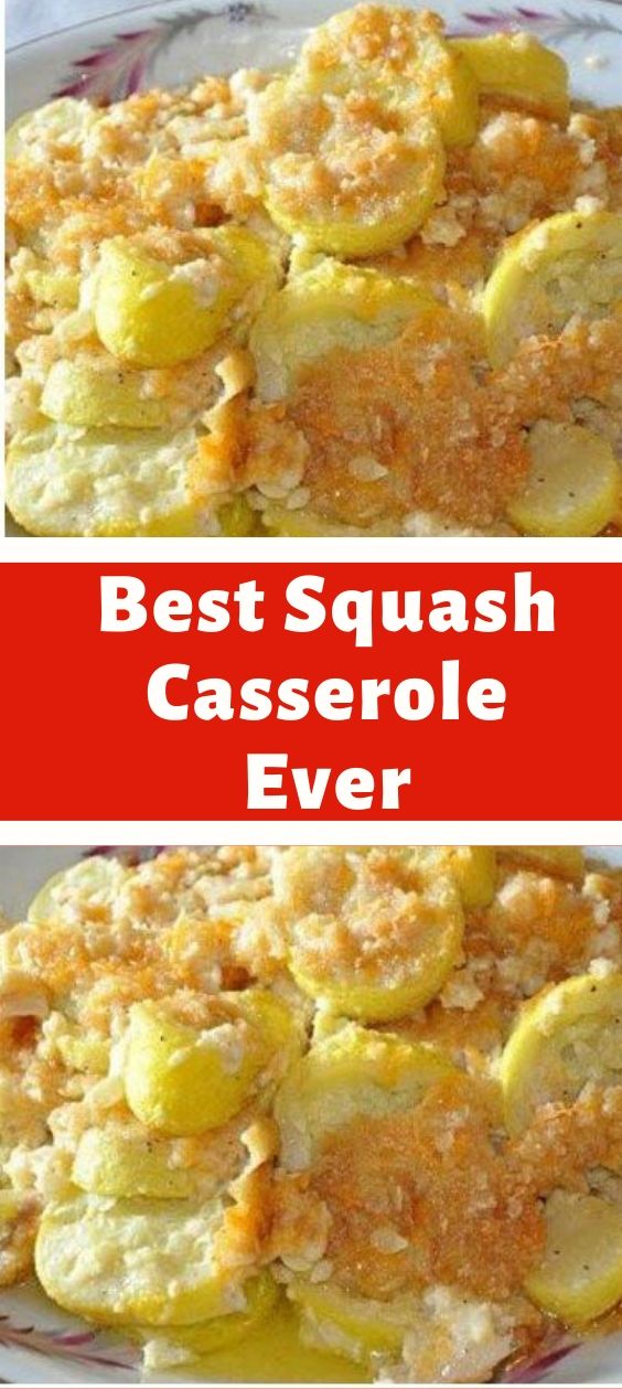 Best Squash Casserole Ever - newsronian