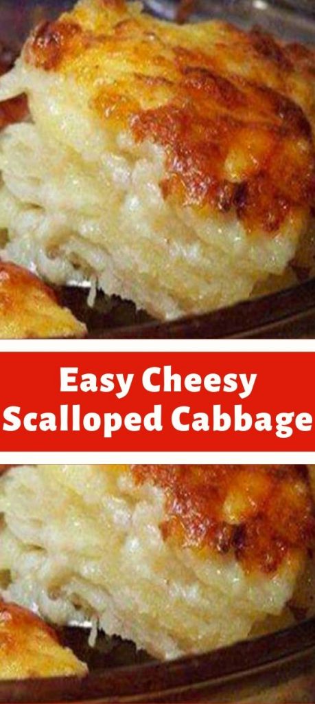 Easy Cheesy Scalloped Cabbage - newsronian